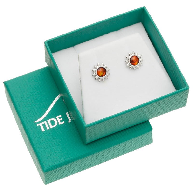 Amber Sun Paua Shell Earrings - Tide Jewellery from thetraditionalgiftshop.live