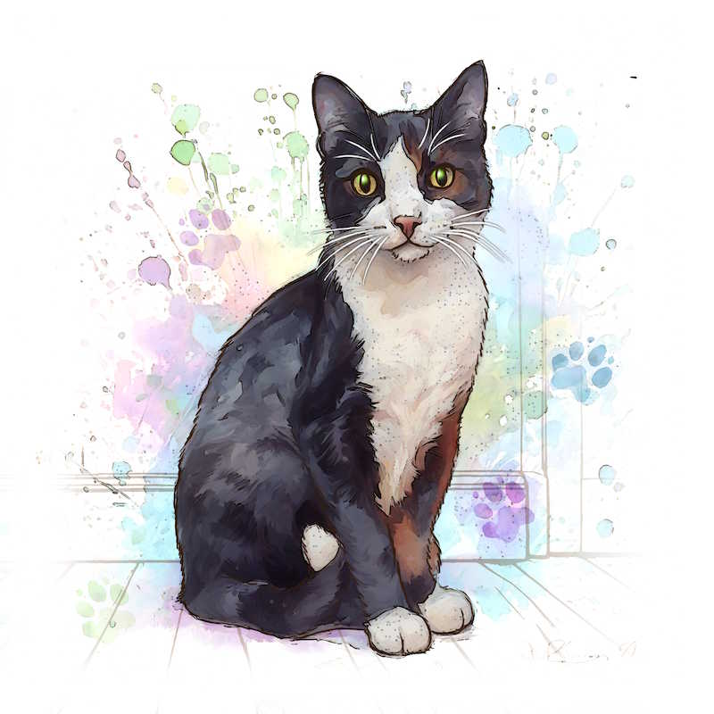 Black & White Cat Ceramic Art Tile - Art of Arora from thetraditionalgiftshop.live
