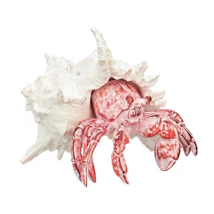 Coral Creatures - Hermit Crab - Coral Creatures from thetraditionalgiftshop.live