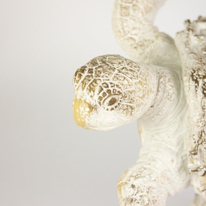 Coral Creatures - Turtle - Coral Creatures from thetraditionalgiftshop.live