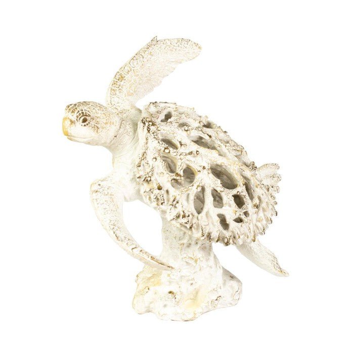 Coral Creatures - Turtle - Coral Creatures from thetraditionalgiftshop.live