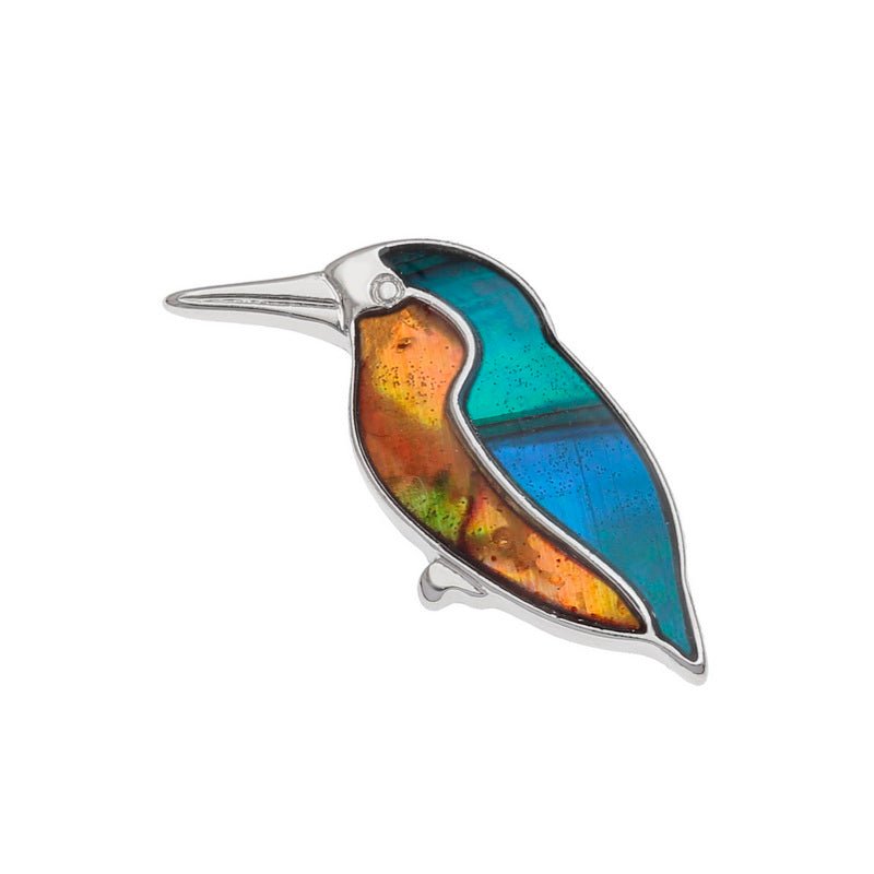 Kingfisher Paua Shell Pin Badge - Tide Jewellery from thetraditionalgiftshop.live