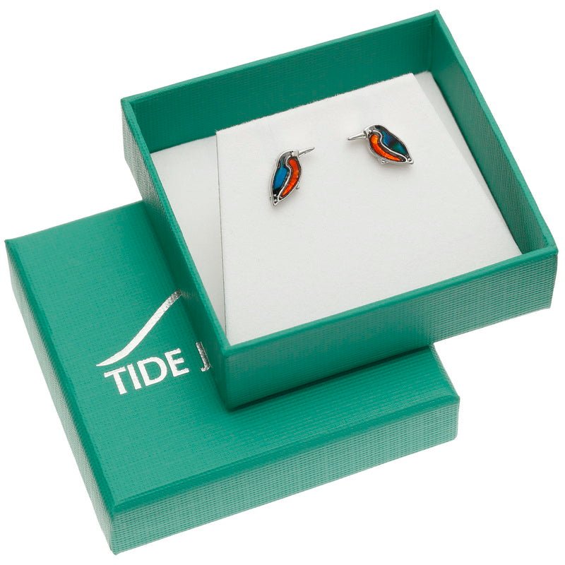 Kingfisher Paua Shell Stud Earrings - Tide Jewellery from thetraditionalgiftshop.live