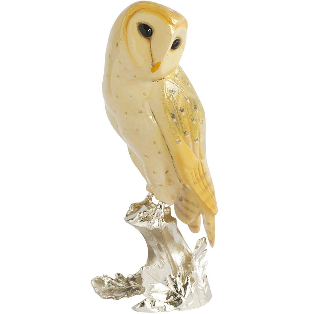 Barn Owl - Nature's Realms from thetraditionalgiftshop.live