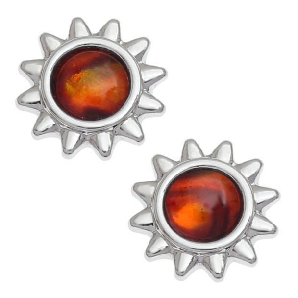 Amber Sun Paua Shell Earrings - Tide Jewellery from thetraditionalgiftshop.live