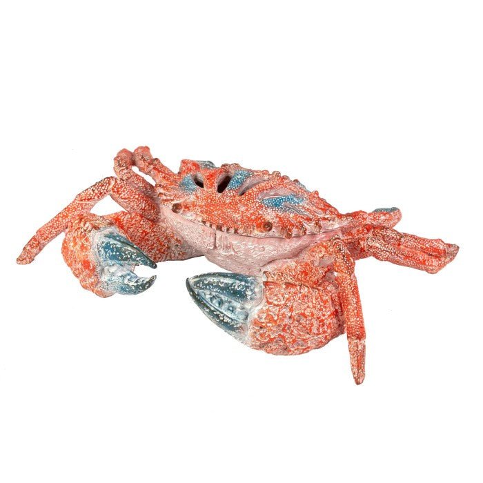 Coral Creatures - Common Shore Crab - Coral Creatures from thetraditionalgiftshop.live