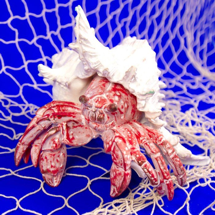Coral Creatures - Hermit Crab - Coral Creatures from thetraditionalgiftshop.live