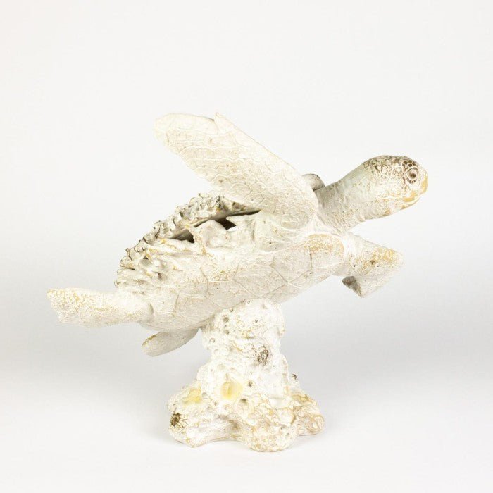 Coral Creatures - Turtle - Coral Creatures from thetraditionalgiftshop.live