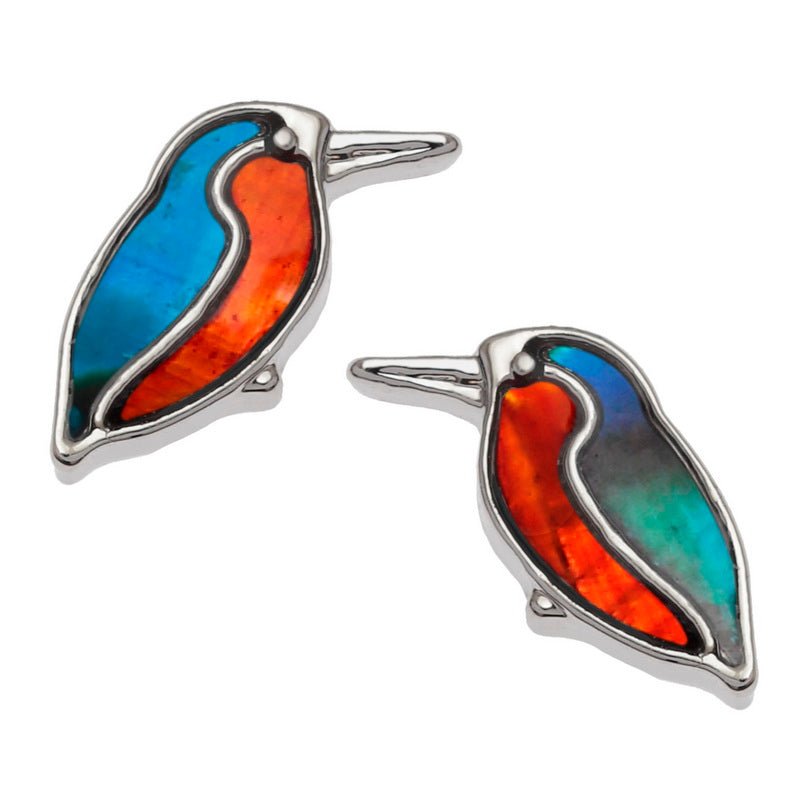 Kingfisher Paua Shell Stud Earrings - Tide Jewellery from thetraditionalgiftshop.live