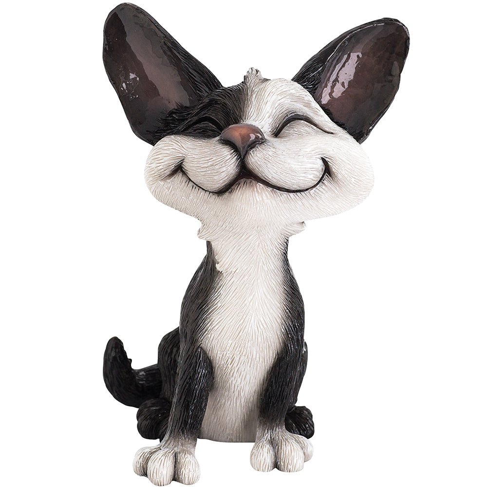 Domino - Black & White Cat - Little Paws from thetraditionalgiftshop.live