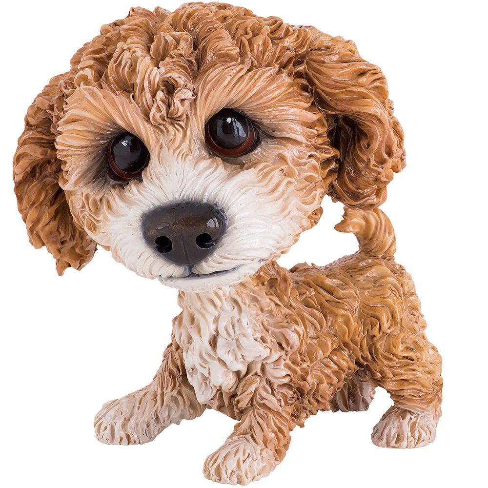 Molly - Cavachon - Little Paws from thetraditionalgiftshop.live